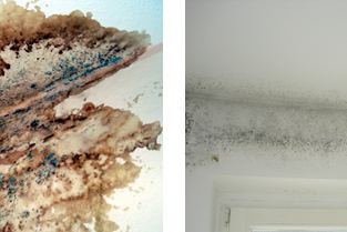Interior moisture damage on a building surface